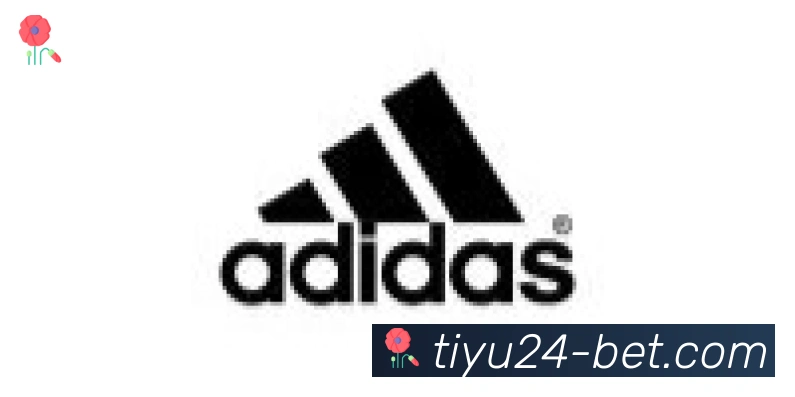 24VS体育直播合作伙伴